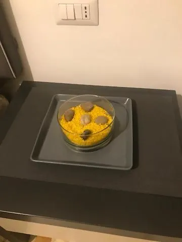 艾瑟纳多立酒店 罗马 2*,  意大利